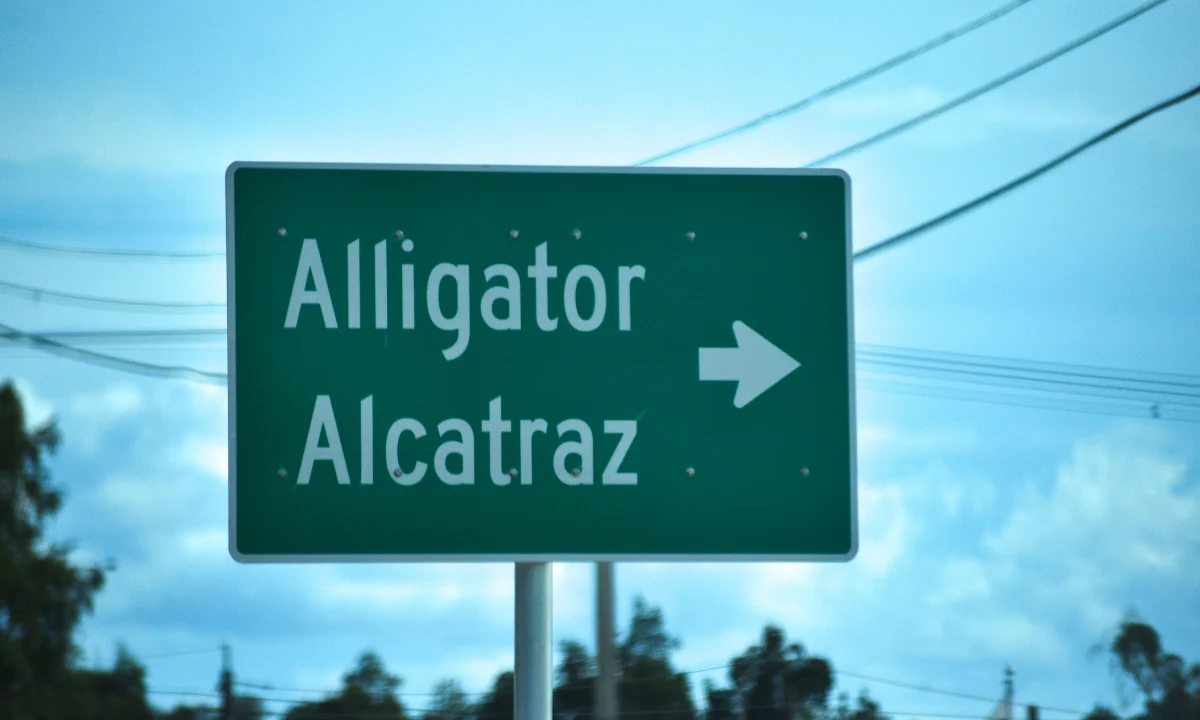 Florida, alligator, alcatrraz, Alligator Alcatraz Immigration Detention Center